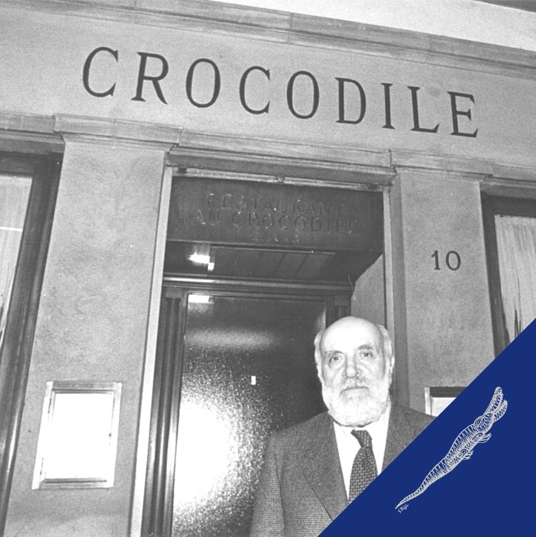 Crocodile