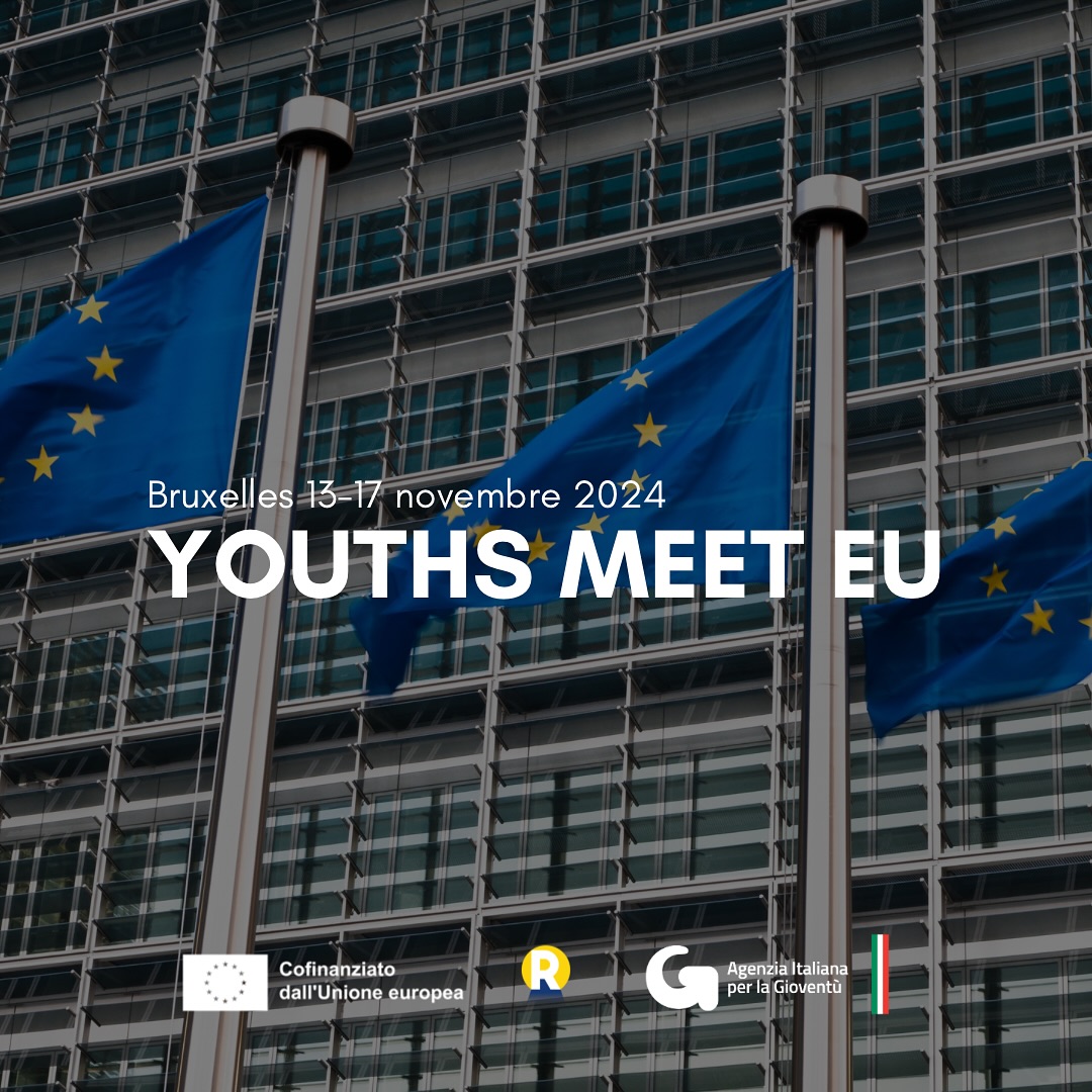 Youths meet EU